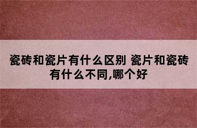 瓷砖和瓷片有什么区别 瓷片和瓷砖有什么不同,哪个好